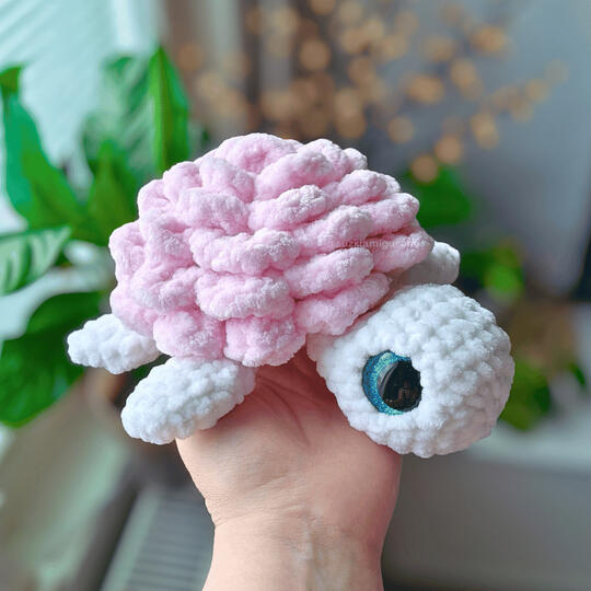 Rose turtle 25€