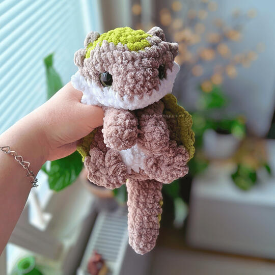 Lizard 35€
