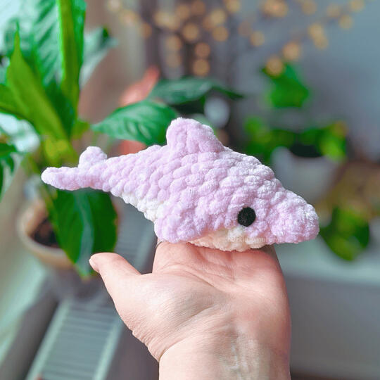 Small dolphin 10€